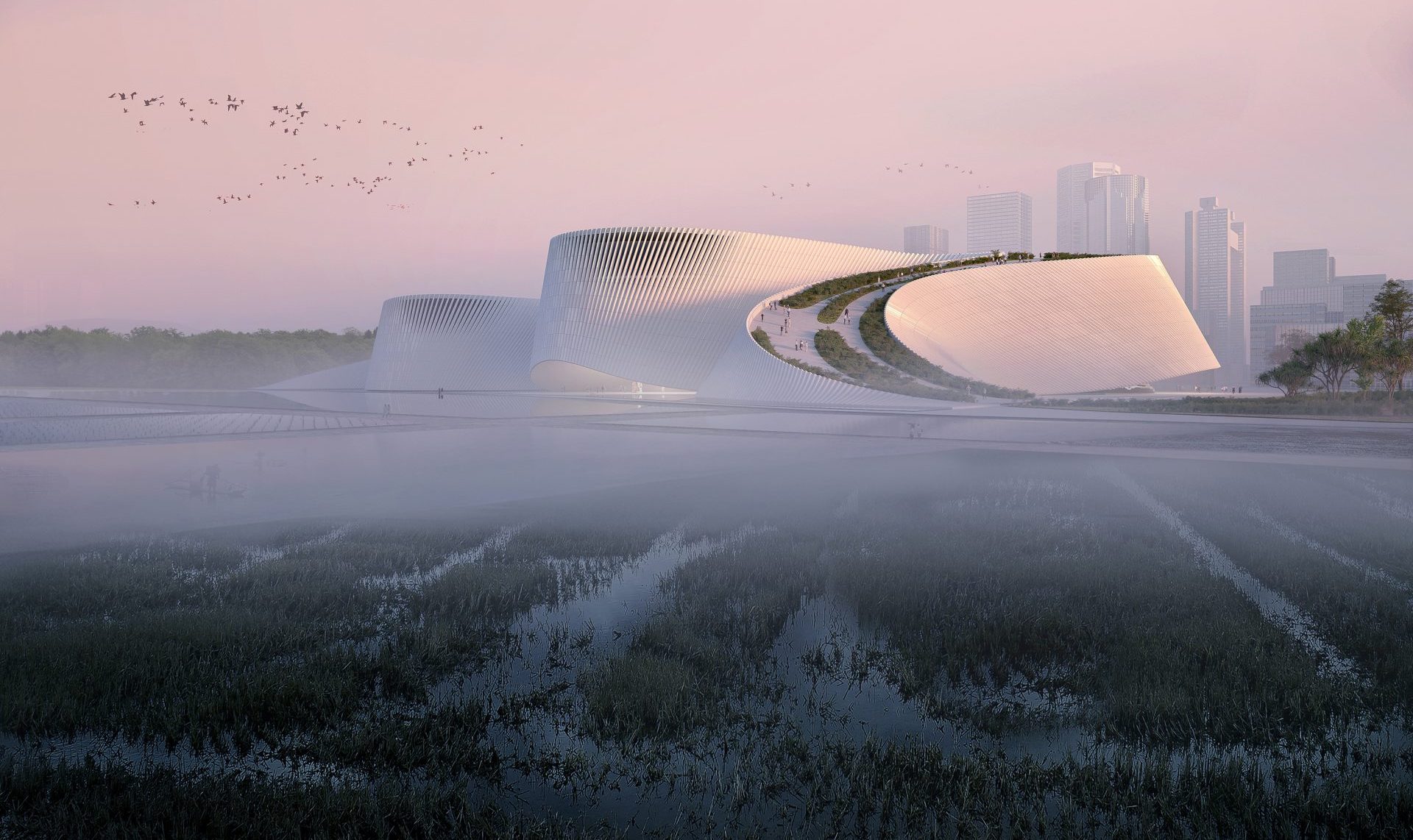 Multinational team wins Shenzhen Natural History Museum with sinuous ...