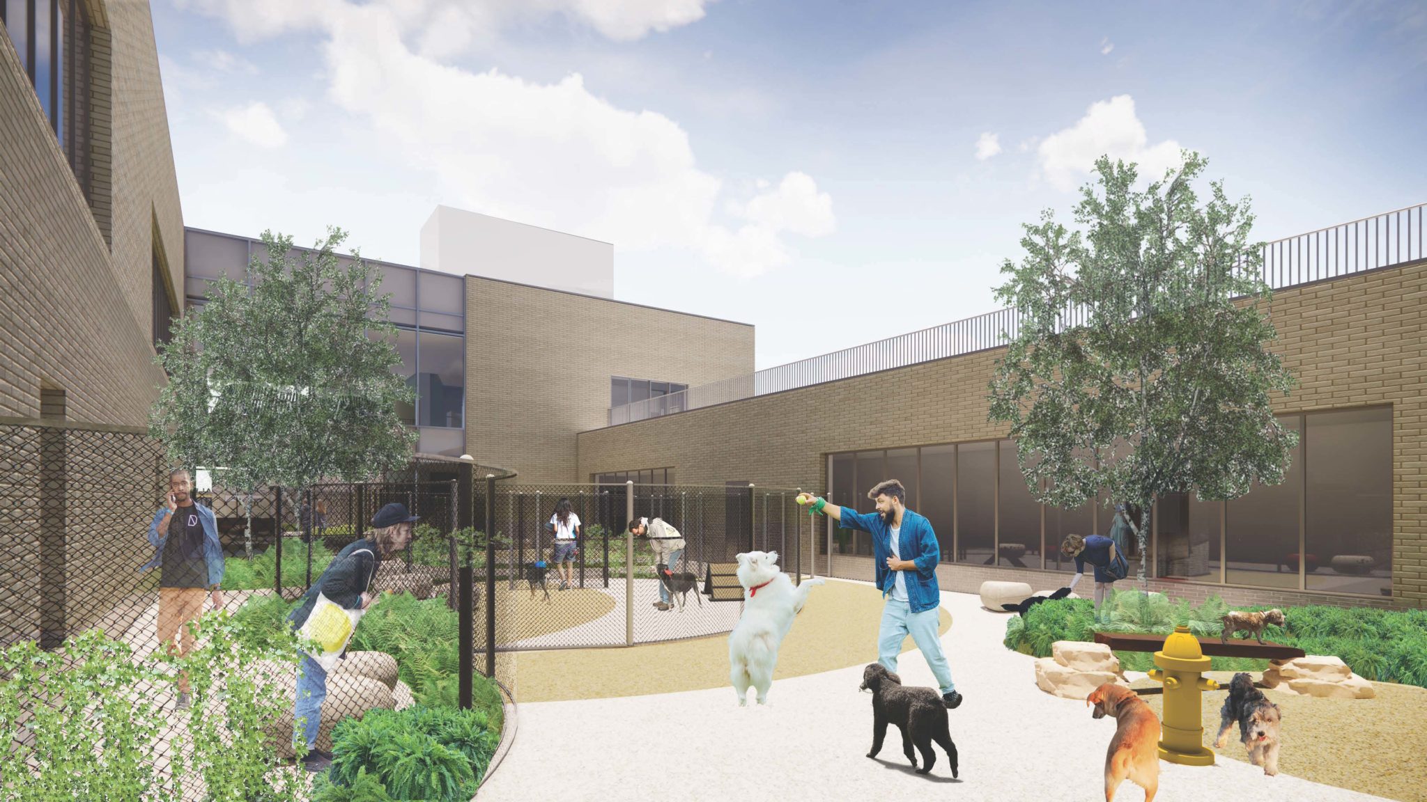 New York starts work on $92m animal care home for 70 dogs, 140 cats ...